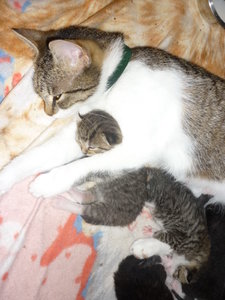 Jetzt sind wir eine Woche alt 039.jpg