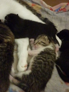 Jetzt sind wir eine Woche alt 050.jpg