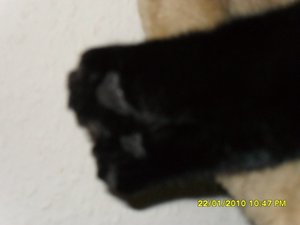 Bild4 015 [800x600].jpg