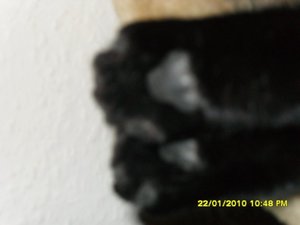 Bild4 016 [800x600].jpg