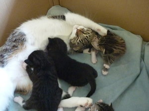 Hurra, wir sind schon 2 Wochen alt 004.jpg