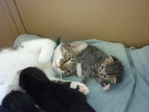 Hurra, wir sind schon 2 Wochen alt 005.jpg