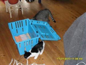 Jack und Tommy die ersten Minuten 002 [800x600].jpg