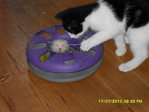 Jack und Tommy 012 [800x600].jpg