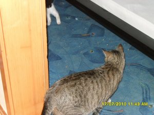 Jack und Tommy die ersten Minuten 005 [800x600].jpg