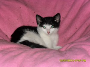 Jack 002 [800x600].jpg