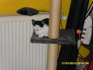 Jack 003 [800x600].jpg