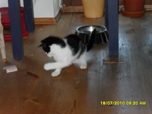 Jack 009 [800x600].jpg