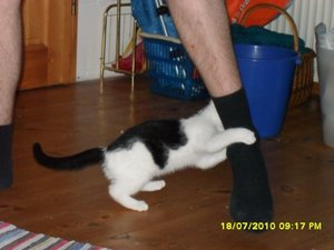 Jack(Mütze) 002 [800x600].jpg