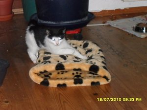 Jack(Mütze) 010 [800x600].jpg