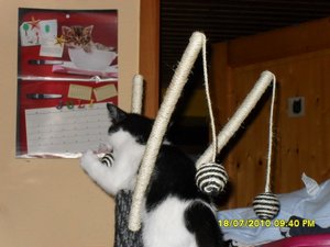 Jack(Mütze) 012 [800x600].jpg