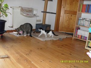 Jack 013 [800x600].jpg