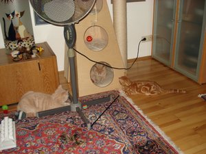 alle drei zusammen 002.jpg