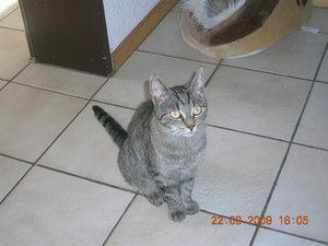 leons 6.geb.HH,Halloween09 084.jpg