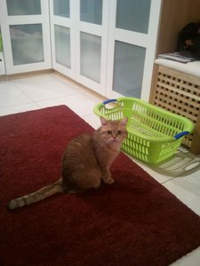 2013-01-15 06.31.33.jpg