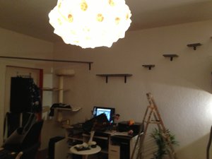 2013-01-19 19.29.29.jpg