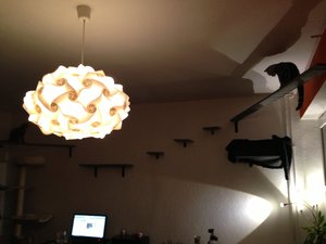 2013-01-19 20.36.40.jpg