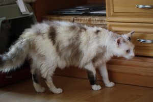 Flecki mit Winterfell.jpg