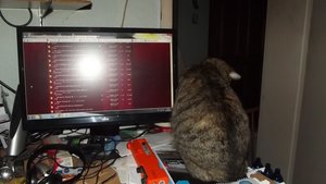 DSCF1310 (Kopie).JPG