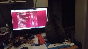 DSCF1311 (Kopie).JPG