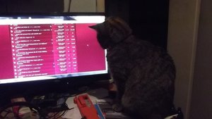 DSCF1312 (Kopie).JPG