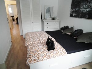 DSCF5069 (640x480).jpg