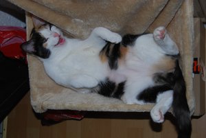 Kopie von DSC_0514.JPG