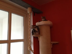 2013-01-30 15.14.56.jpg