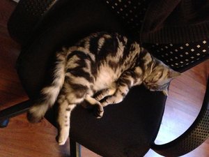 2013-01-26 16.41.16.jpg