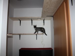 k-IMG_0844 nehmen.JPG