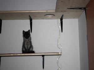 k-IMG_0846 nehmen.JPG