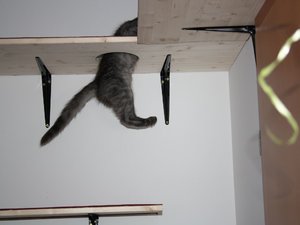 k-IMG_0854 nehmen.JPG