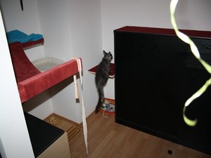 k-IMG_0858 nehmen.JPG