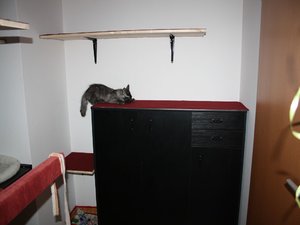 k-IMG_0859 nemen.JPG