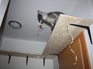 k-IMG_0862 nehmen.JPG