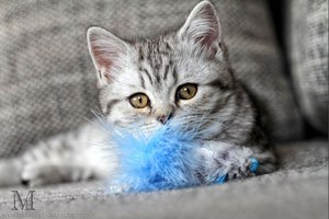 2012-11-26 13 02 21.jpg