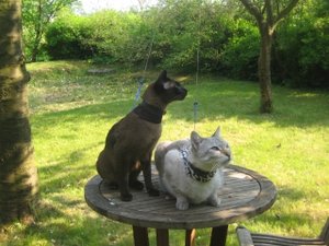 Urlaub April Mai 09 011.jpg