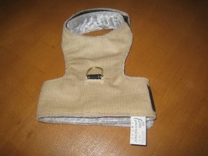 Sommer - Sonnenangebote  beige Feincord.jpg