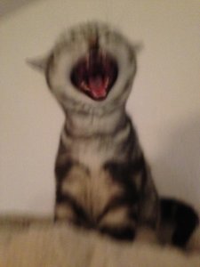 2013-01-06 17.39.54.jpg