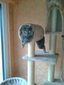 20130210_094330 (3).jpg