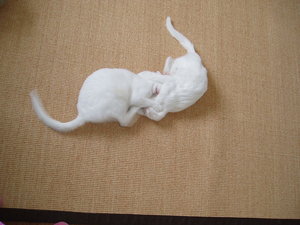 P2110048.JPG P2110048.JPG