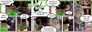 katzencomic.jpg