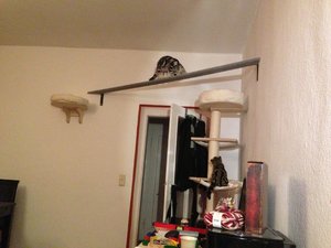 2013-01-04 19.53.36.jpg