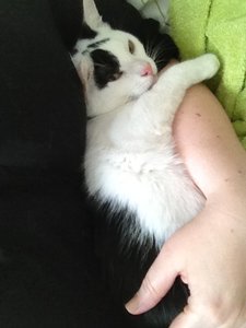 schmusemürp 001.JPG