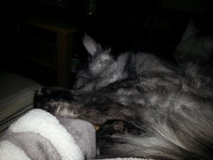 2013-02-18 17.52.50.jpg