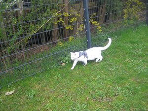 Urlaub 2011 im April 090.jpg