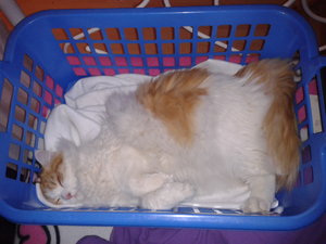 2013-01-04 15.44.30.jpg