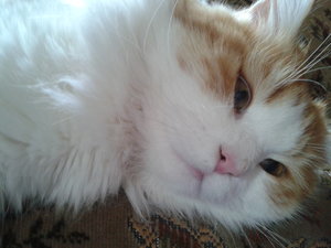 2012-12-25 10.50.59.jpg