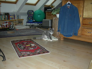 Sini,am 15.10.10 geholt.JPG