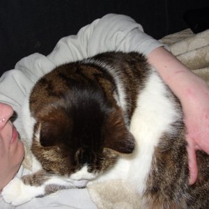 Kuscheln mit Lucky.JPG